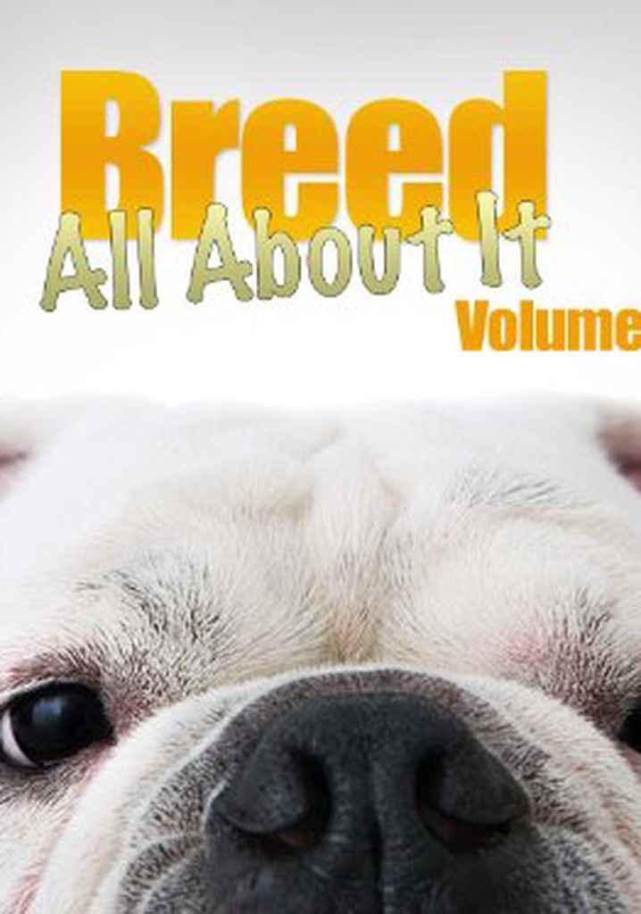 Breed All About It poster