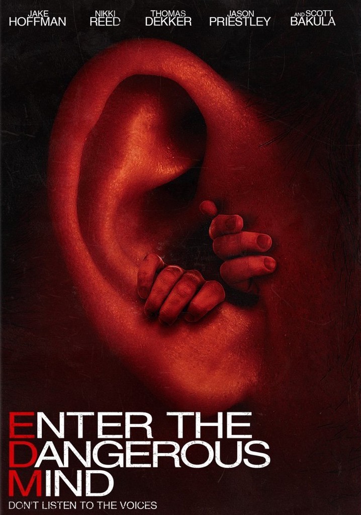 Enter the Dangerous Mind poster