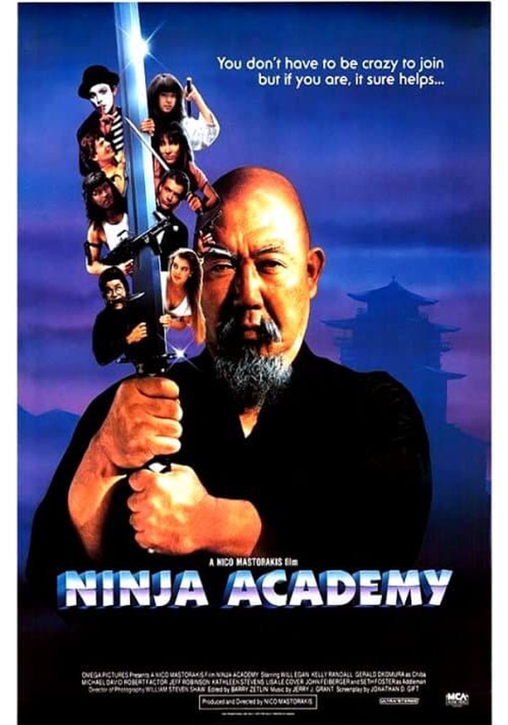 Ninja Academy poster