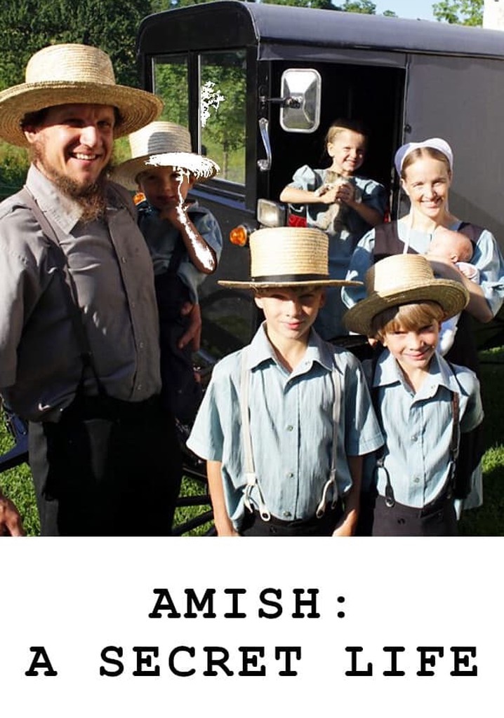 Amish: A Secret Life poster