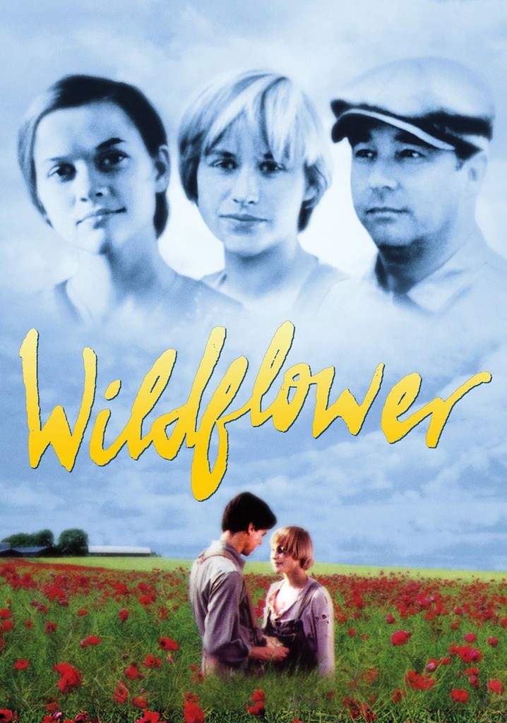 Wildflower poster