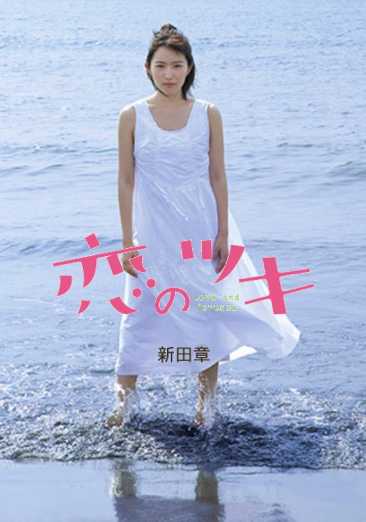 Love and Fortune poster