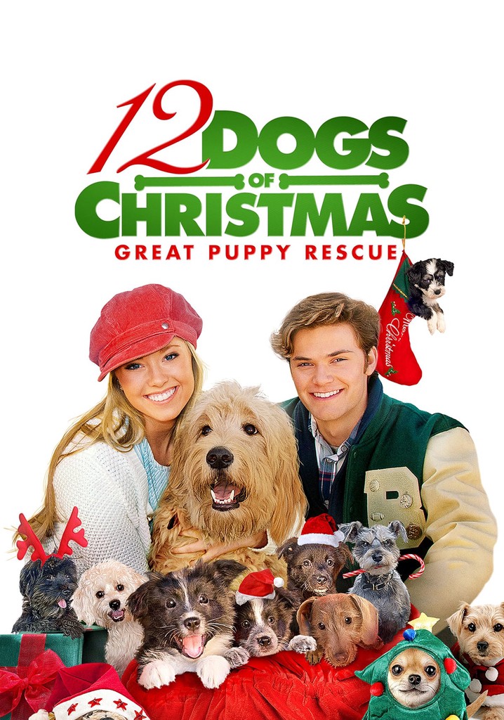 12 Dogs of Christmas: Great Puppy Rescue poster