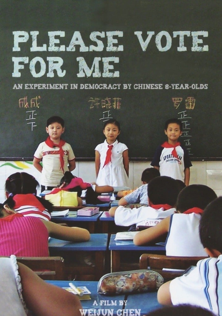 Please Vote for Me poster