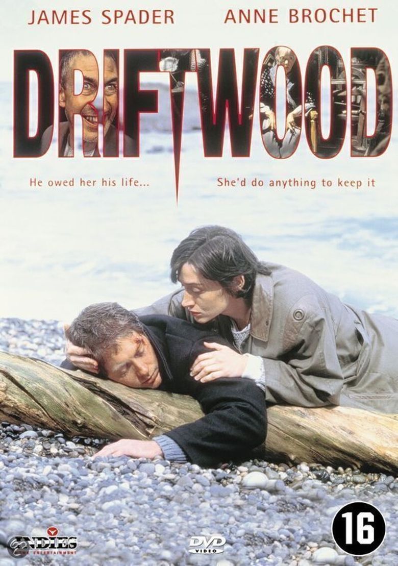 Driftwood poster