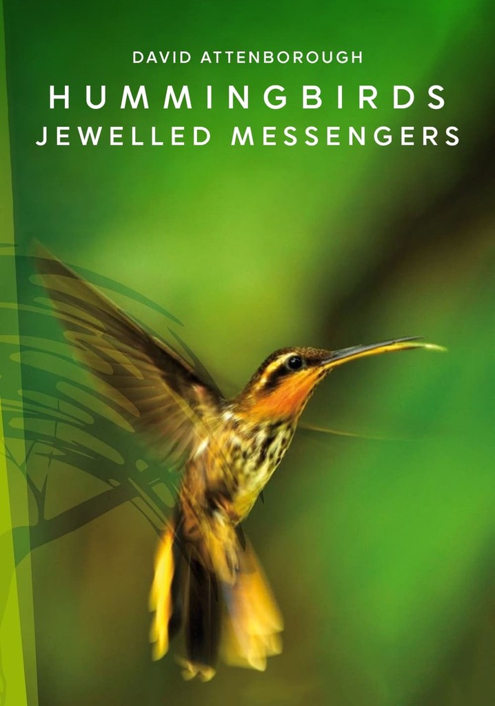 Hummingbirds: Jewelled Messengers poster