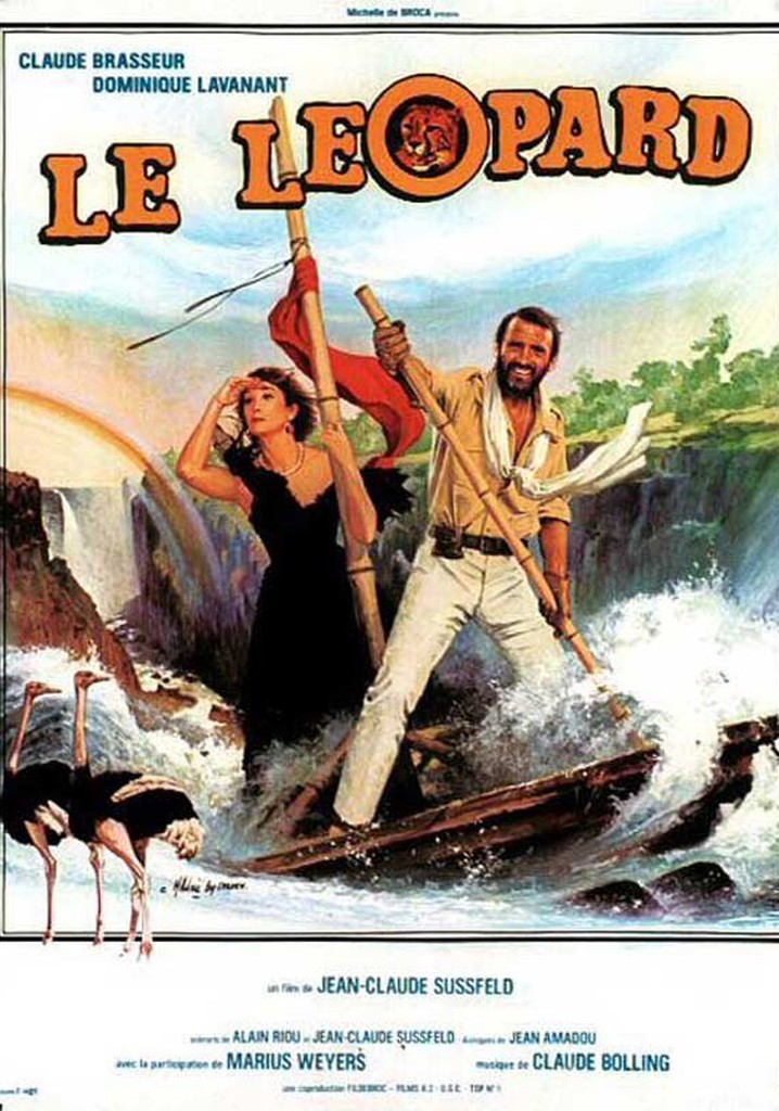 The Leopard poster