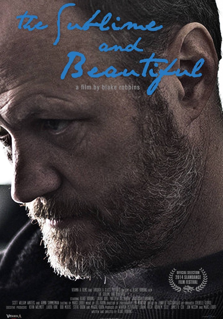 The Sublime and Beautiful poster