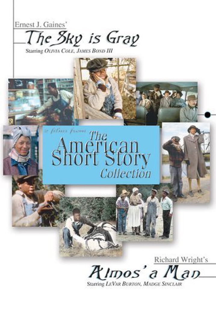 The Sky Is Gray poster