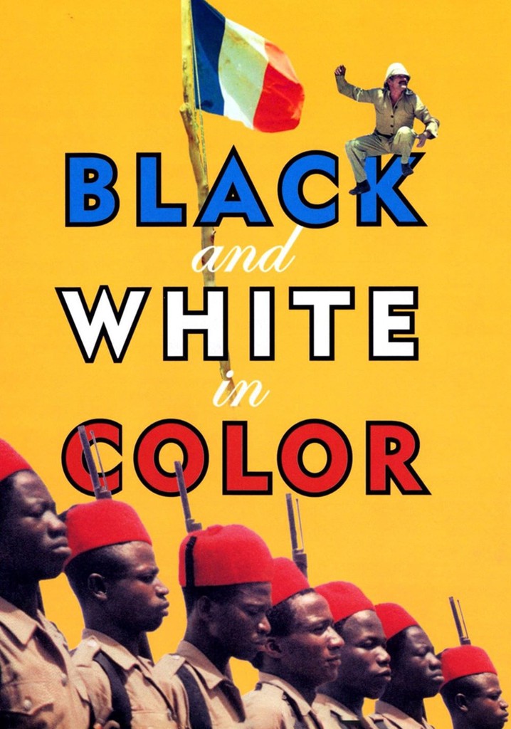 Black and White in Color poster