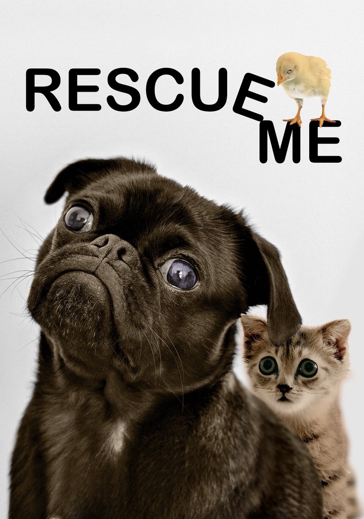 Rescue Me poster