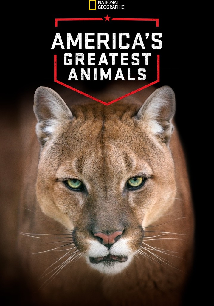 America's Greatest Animals poster