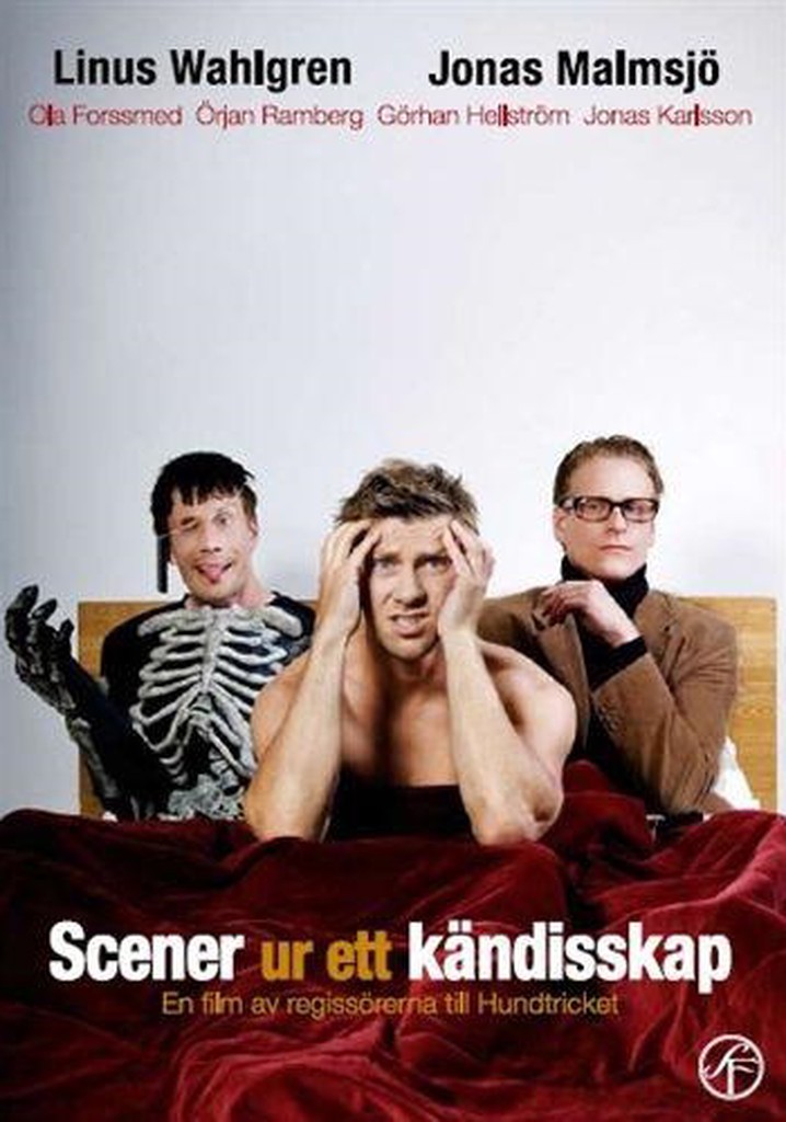 Scenes from a Celebrity Life poster