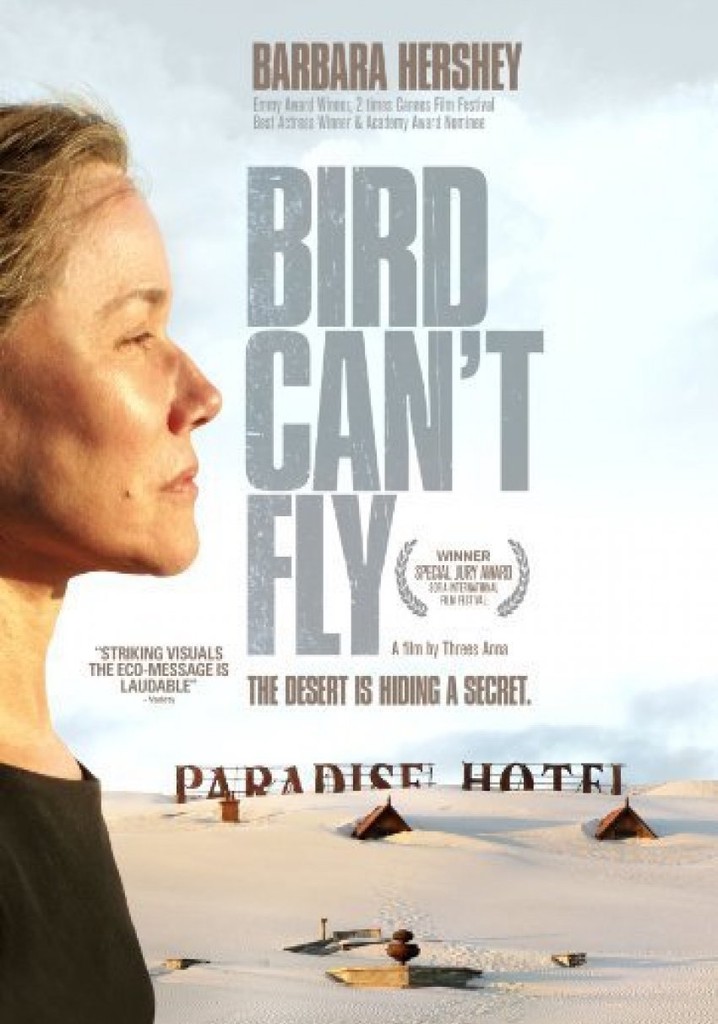 The Bird Can't Fly poster