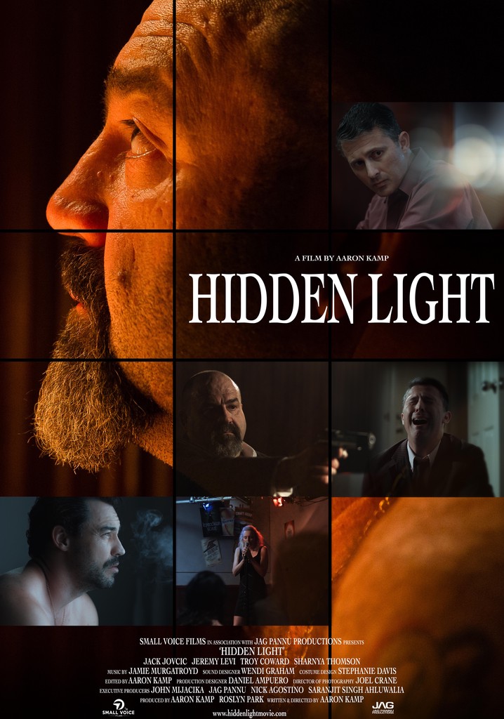 Hidden Light poster