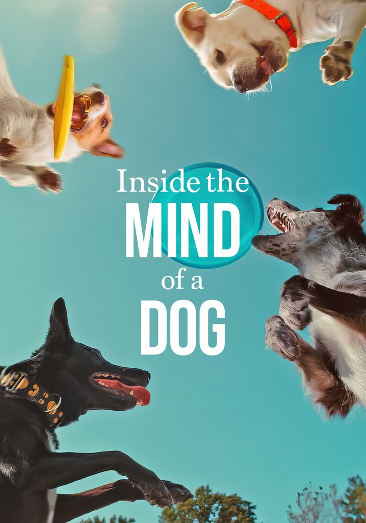 Inside the Mind of a Dog poster