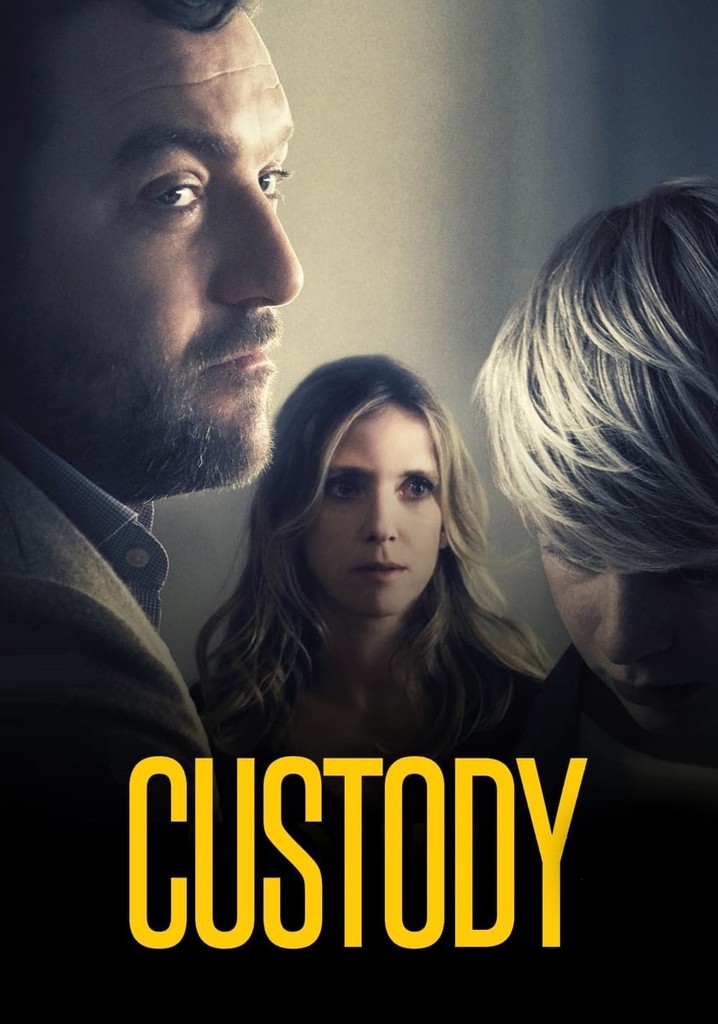 Custody poster
