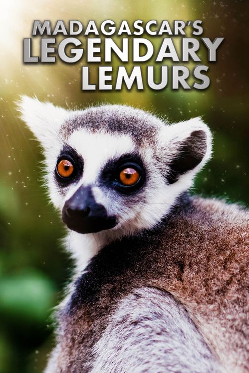 Madagascar's Legendary Lemurs poster