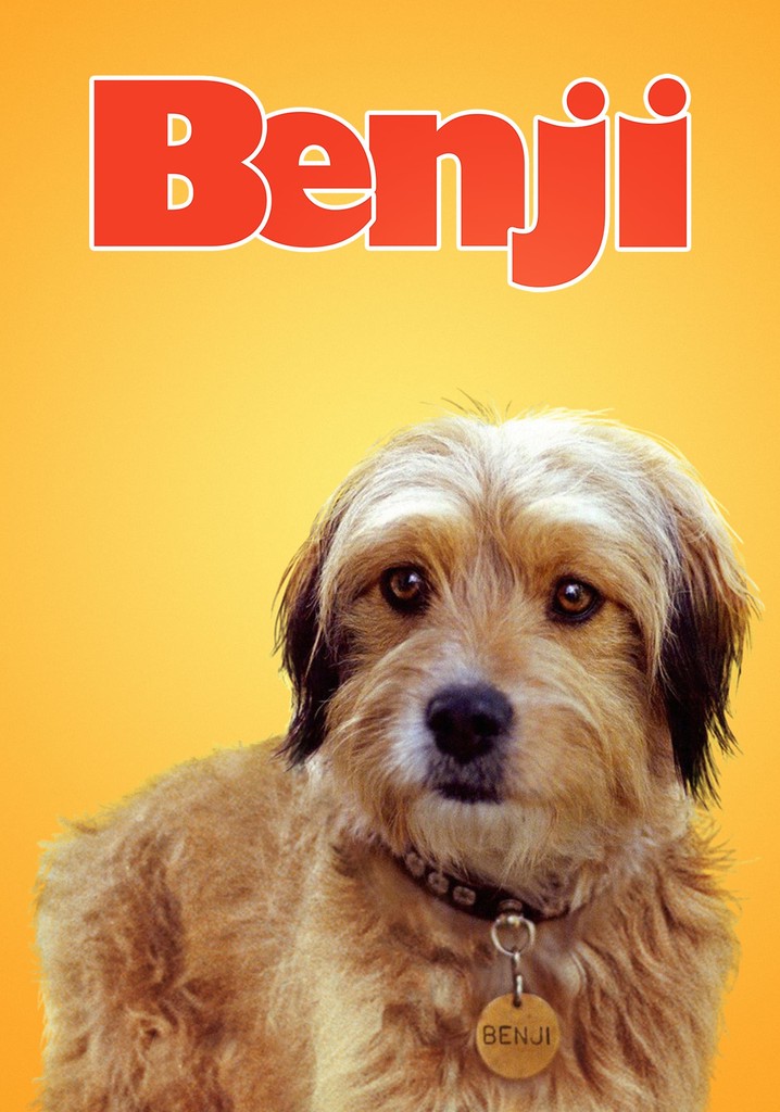 Benji poster