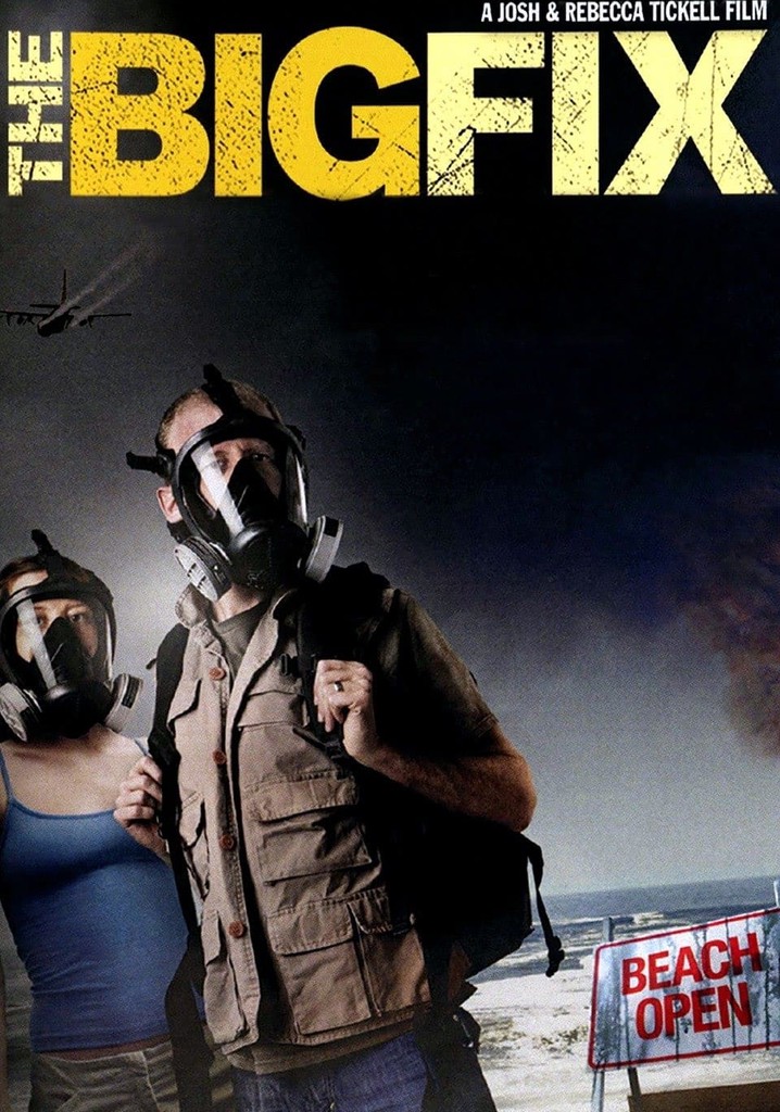 The Big Fix poster