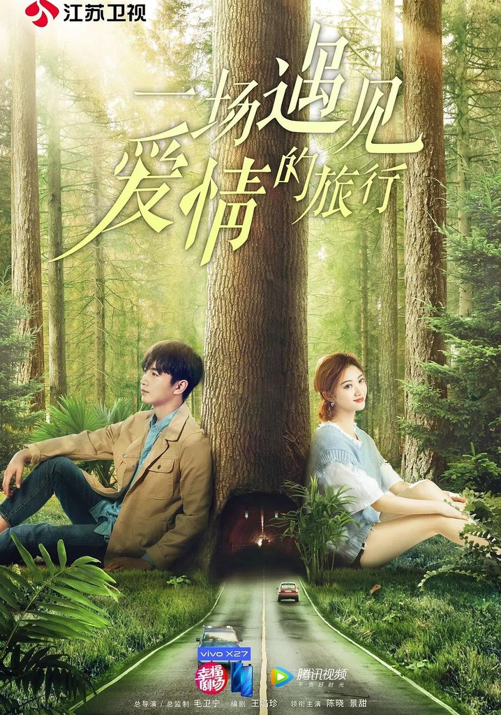 Love Journey poster
