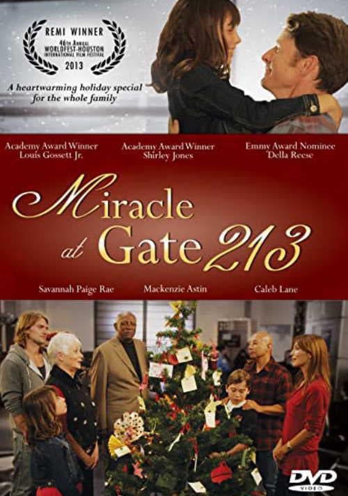 Miracle at Gate 213 poster