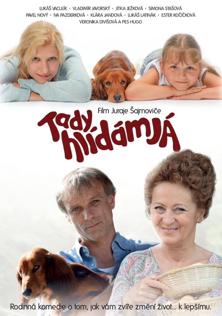 Tady hlídám já poster