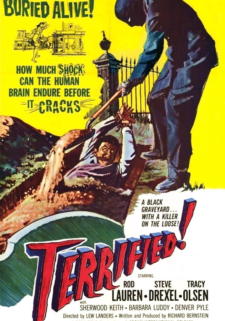 Terrified poster