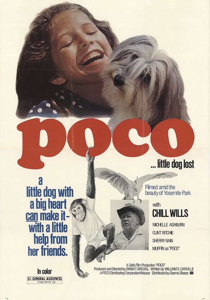 Poco… Little Dog Lost poster