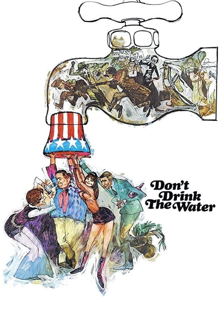 Don't Drink the Water poster