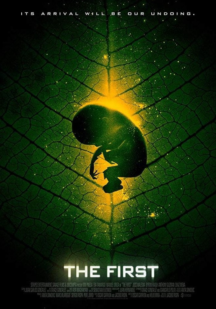 The First poster