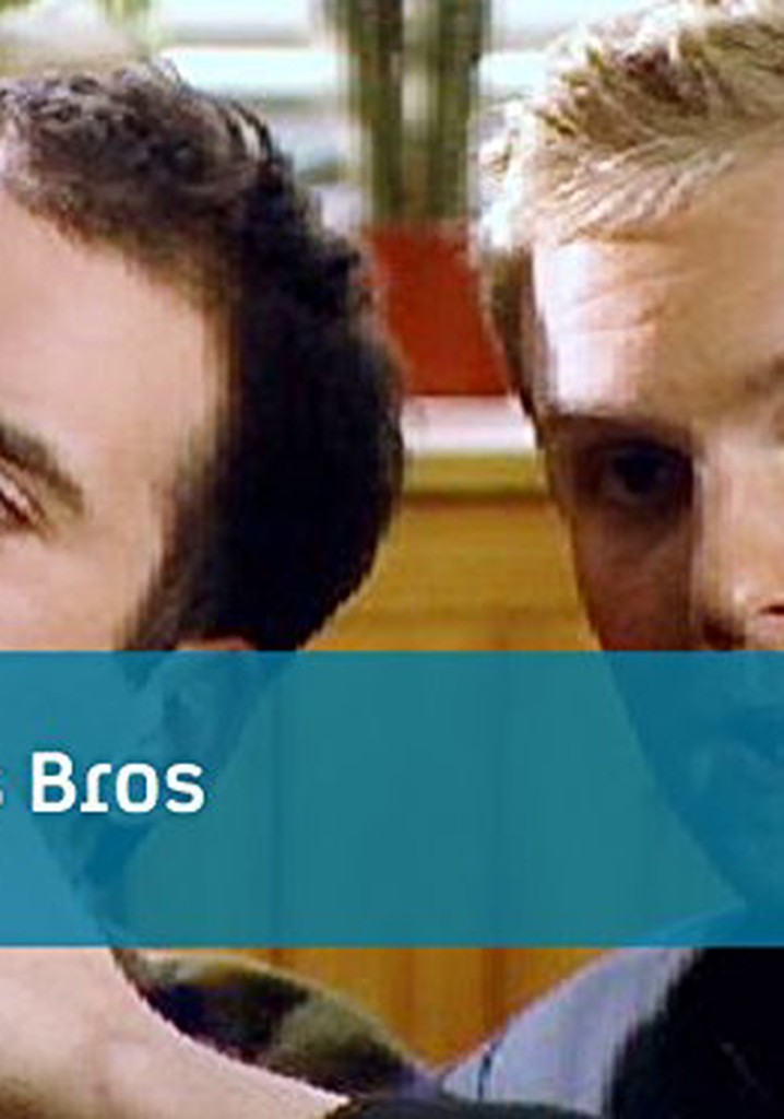 Los Dos Bros poster