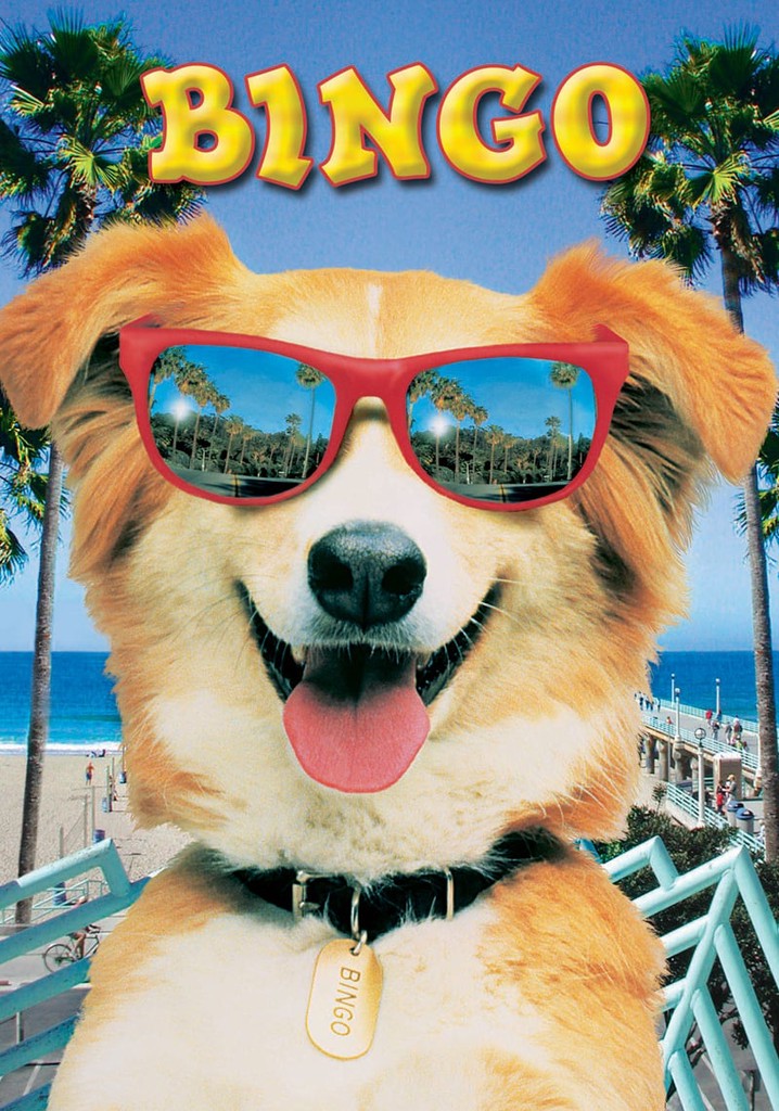 Bingo poster