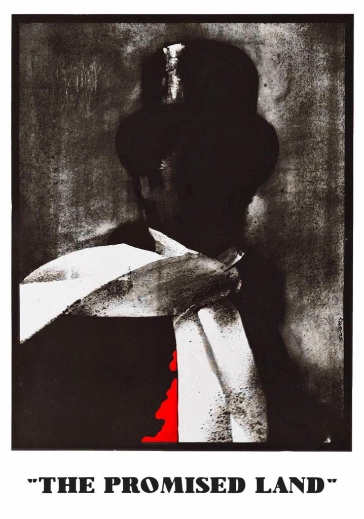 The Promised Land poster