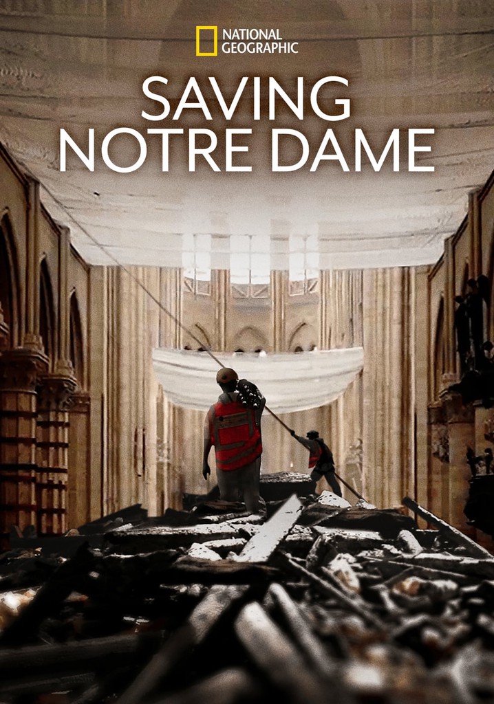 Saving Notre-Dame poster