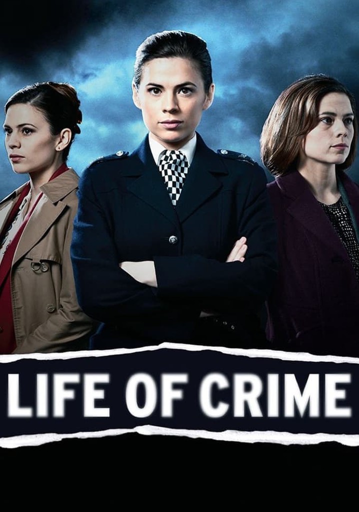 Life of Crime poster