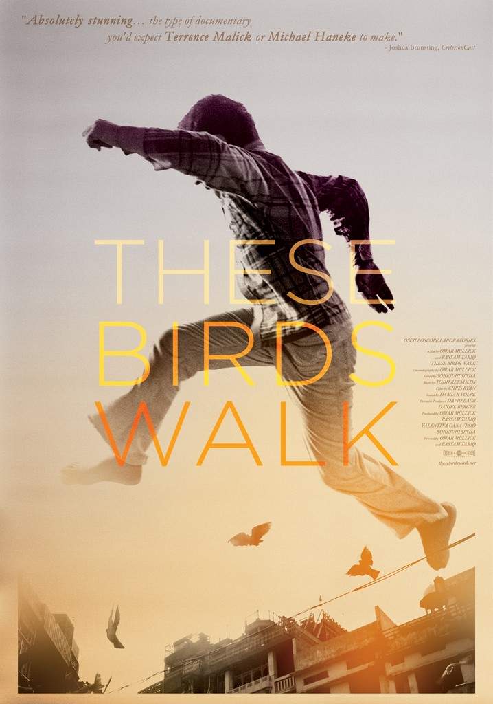 These Birds Walk poster