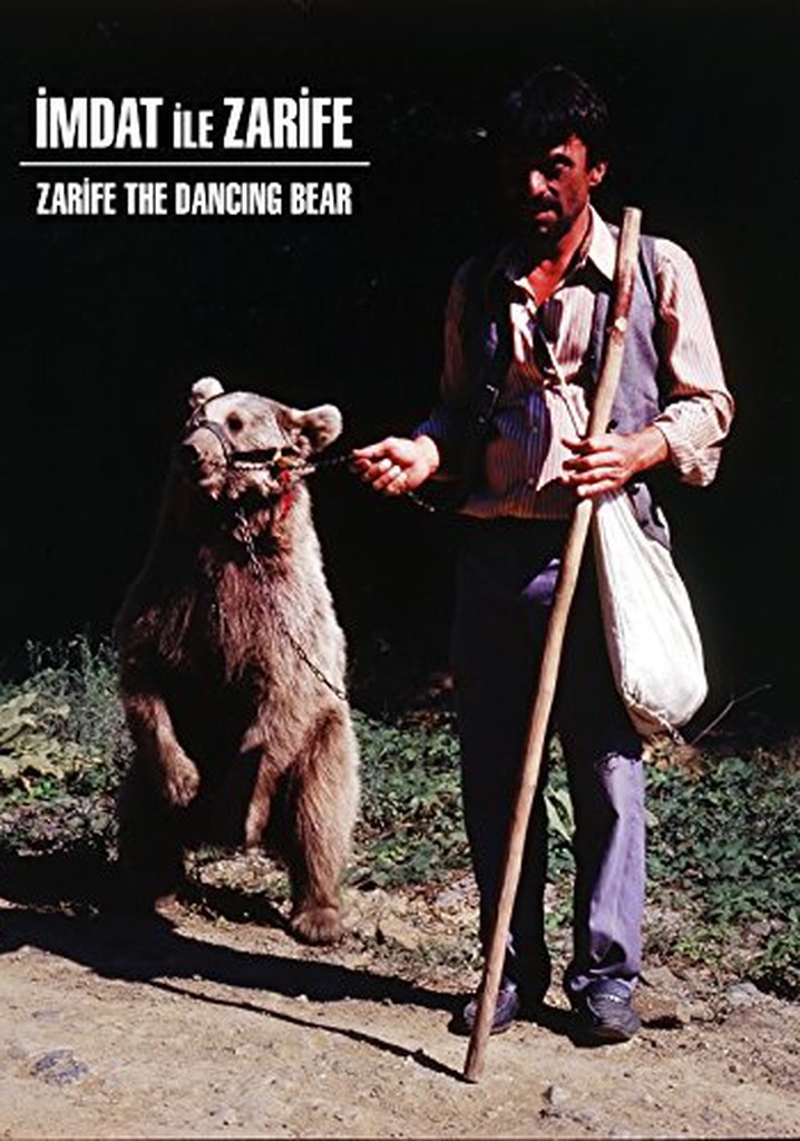 İmdat ile Zarife poster