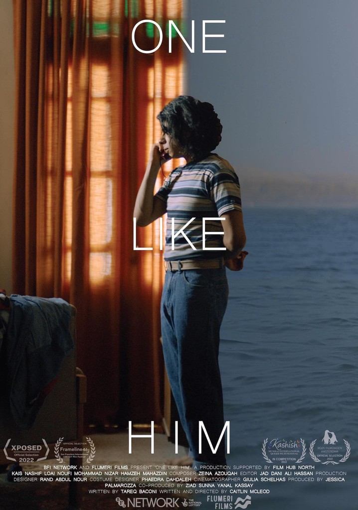 One Like Him poster