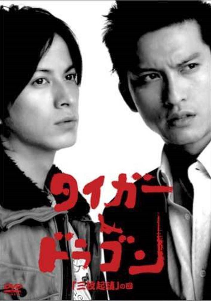 Tiger & Dragon poster