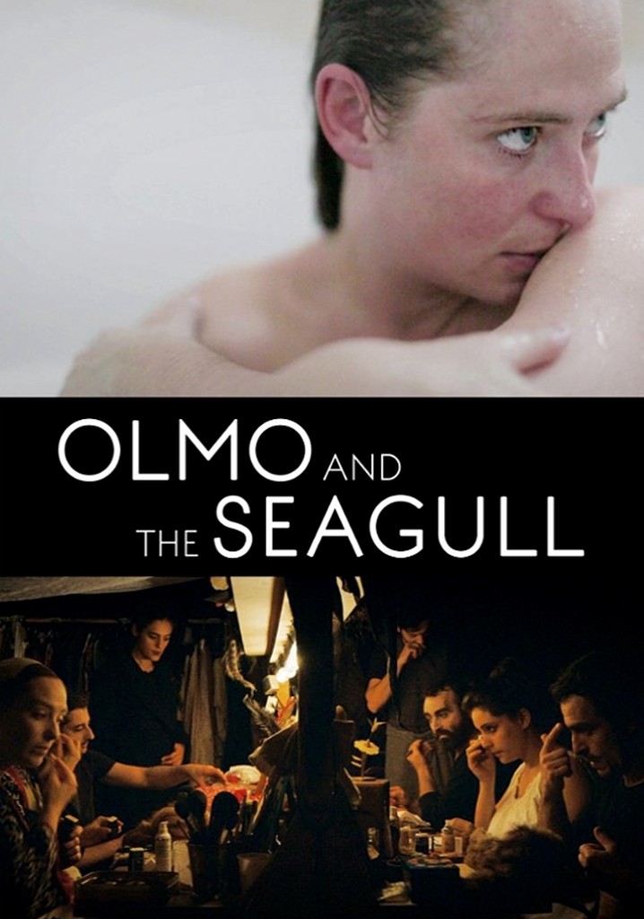 Olmo and the Seagull poster