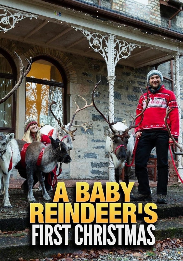 A Baby Reindeer's First Christmas poster