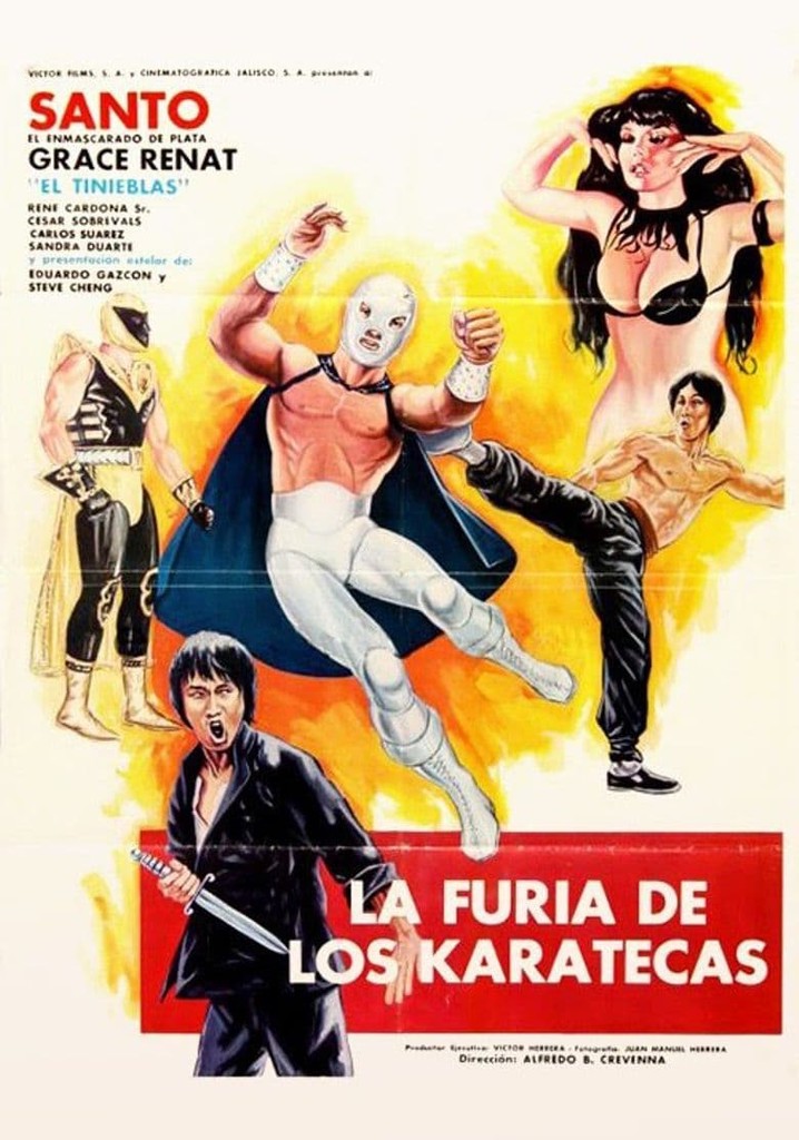 The Fury of the Karate Experts poster