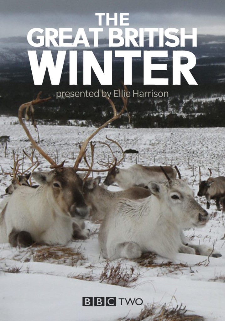 The Great British Winter poster