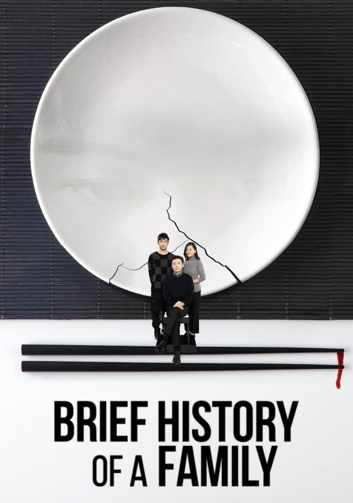 Brief History of a Family poster