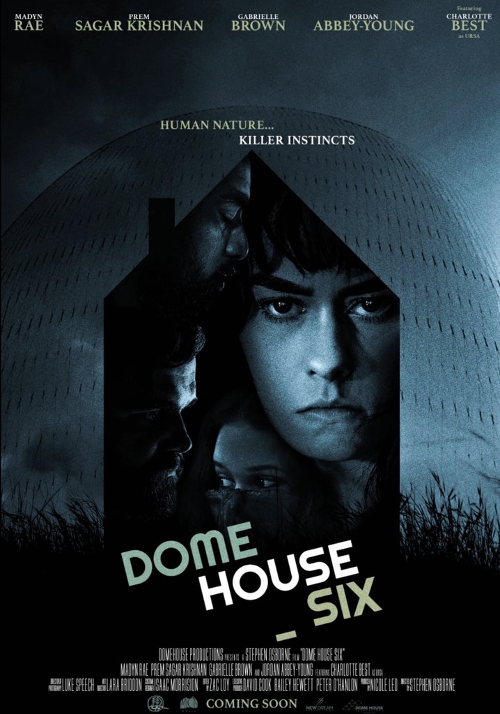 Dome House Six poster