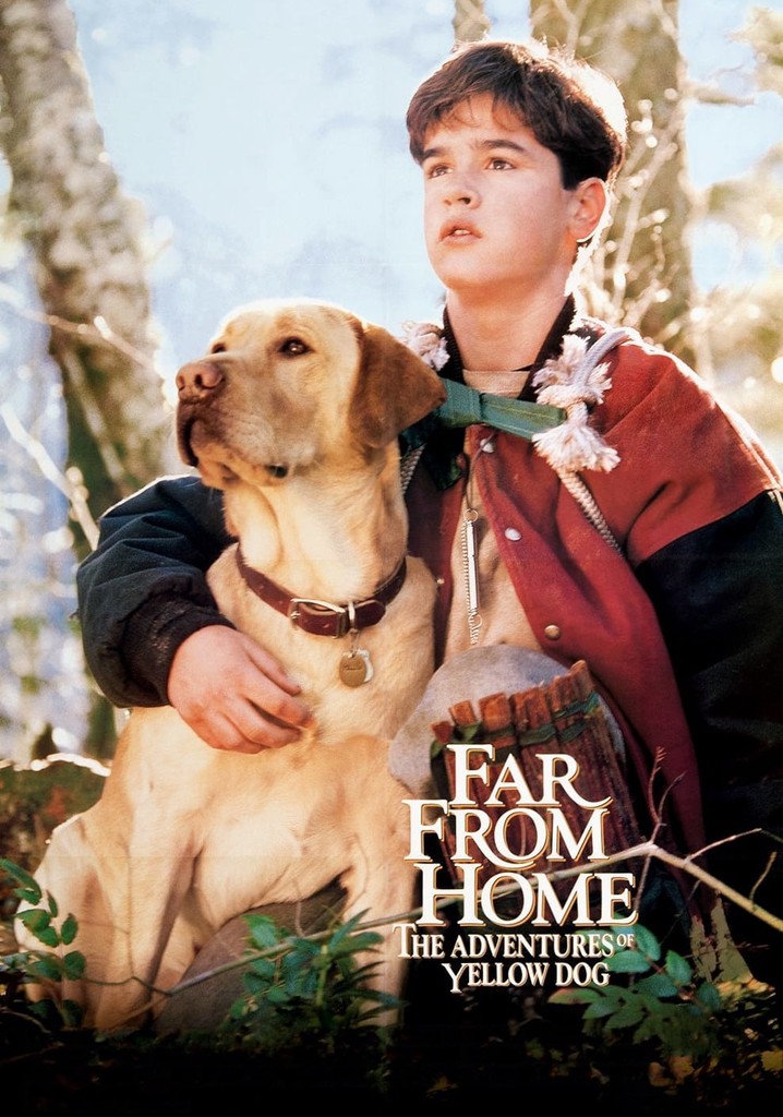 Far from Home: The Adventures of Yellow Dog poster