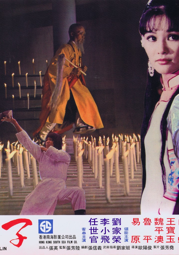 Young Hero of Shaolin poster