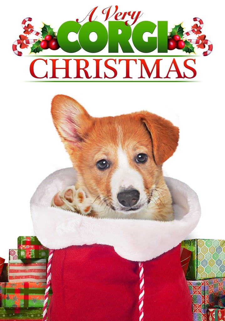 A Very Corgi Christmas poster