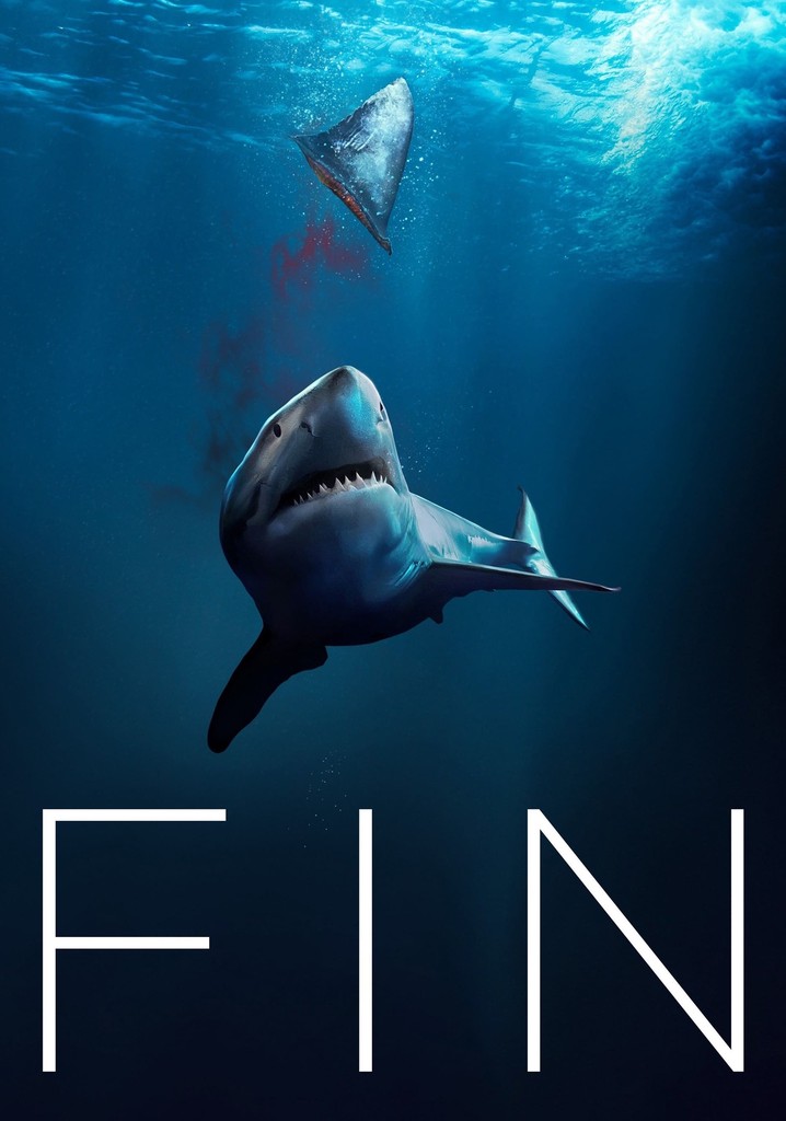 Fin poster